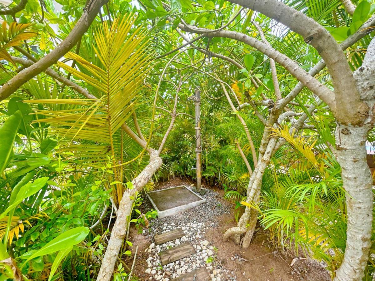 The Seaboards Apartments Seychelles Анс Роял Екстериор снимка